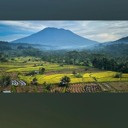 Lumbung Ayu Sari And Spa Сідемен Екстер'єр фото