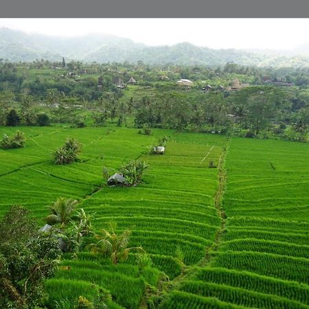 Lumbung Ayu Sari And Spa Сідемен Екстер'єр фото